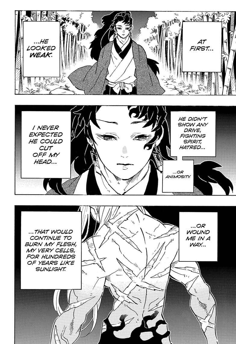 Demon Slayer, Kimetsu No Yaiba Chapter 195 - Page