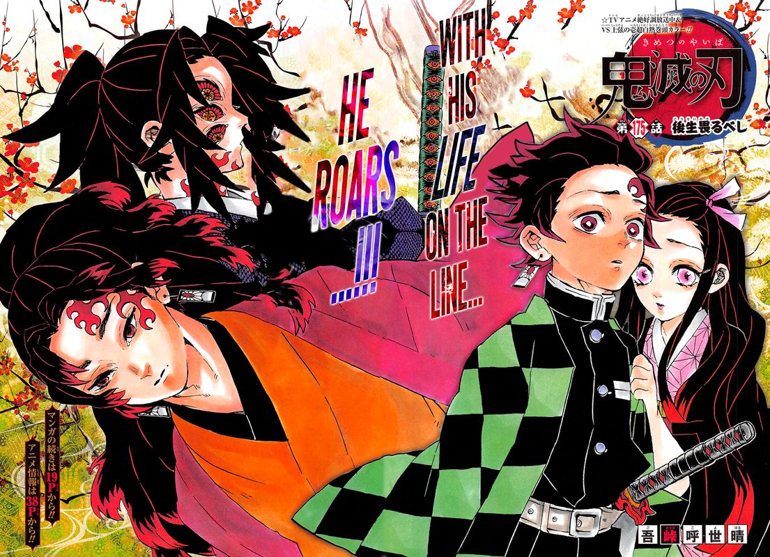 Demon Slayer, Kimetsu No Yaiba Chapter 175 - Page