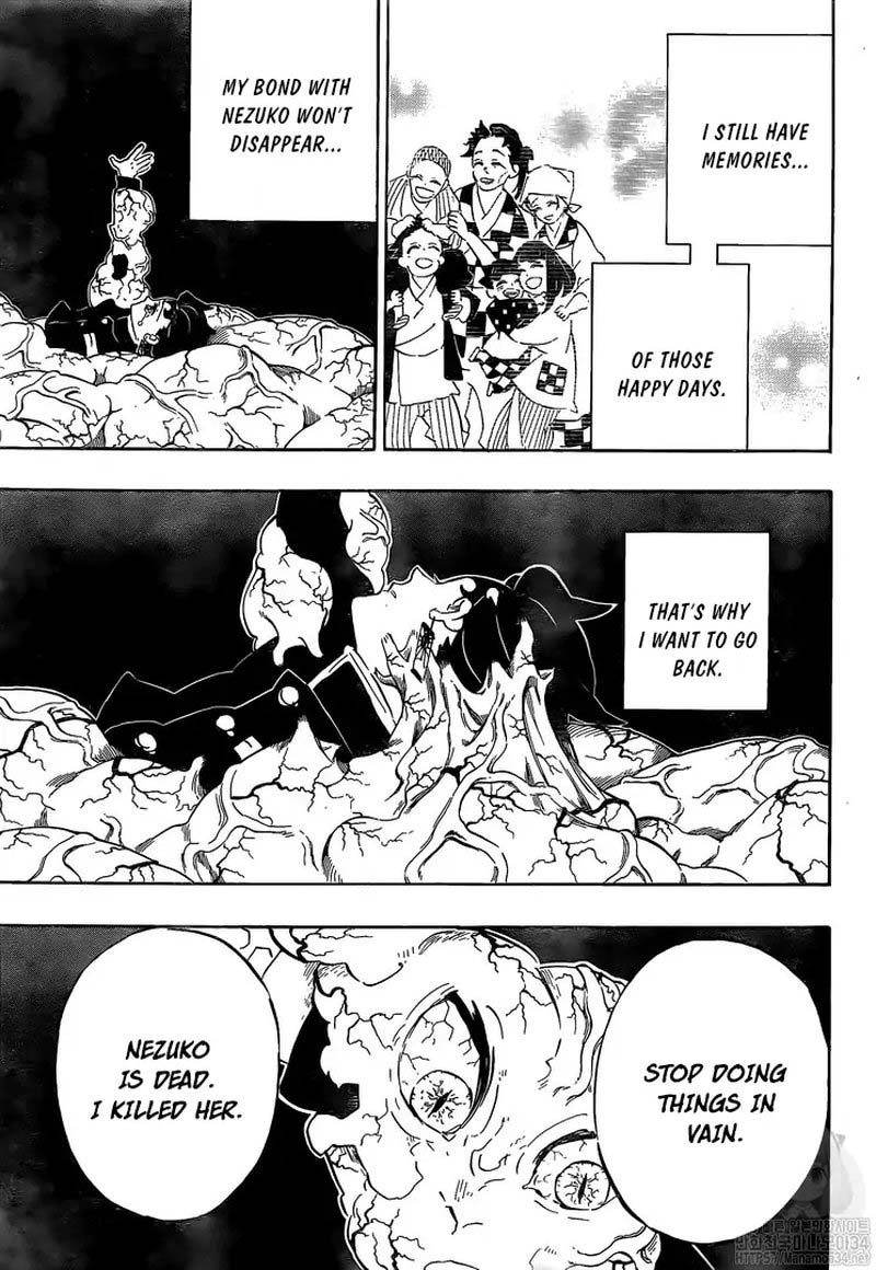 Demon Slayer, Kimetsu No Yaiba Chapter 203 - Page