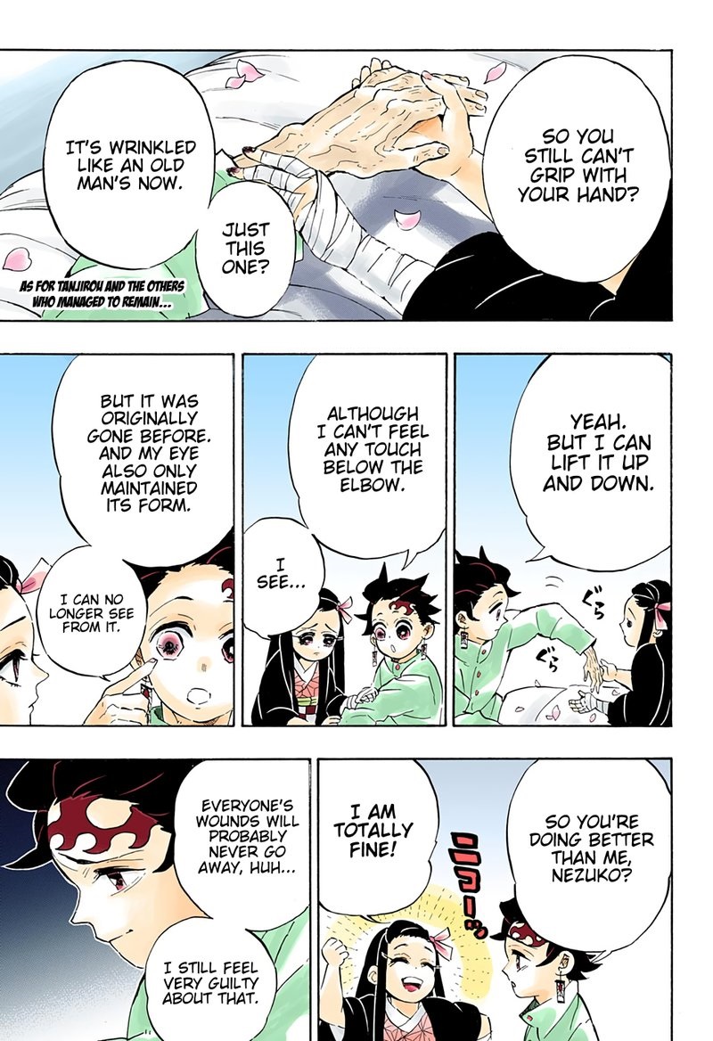 Demon Slayer, Kimetsu No Yaiba Chapter 204 - Page