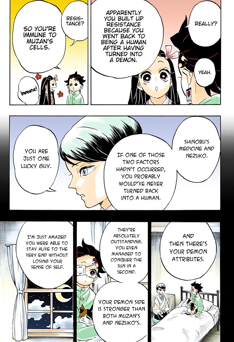 Demon Slayer, Kimetsu No Yaiba Chapter 204 - Page
