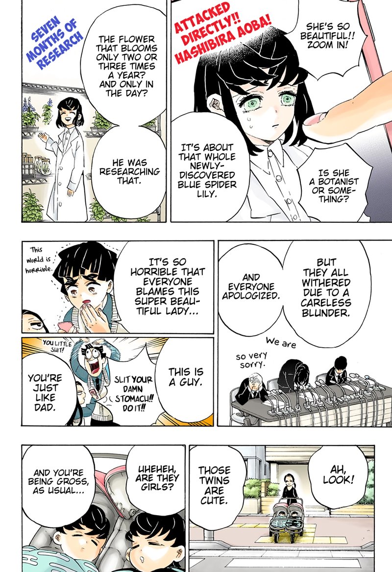 Demon Slayer, Kimetsu No Yaiba Chapter 205 - Page