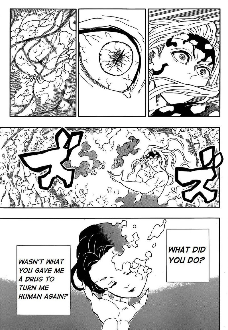 Demon Slayer, Kimetsu No Yaiba Chapter 193 - Page
