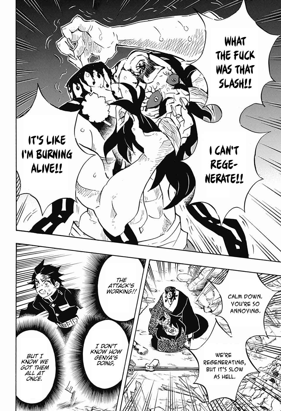 Demon Slayer, Kimetsu No Yaiba Chapter 113 - Page