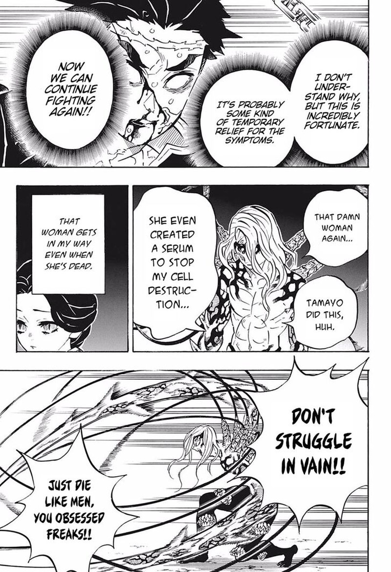 Demon Slayer, Kimetsu No Yaiba Chapter 189 - Page